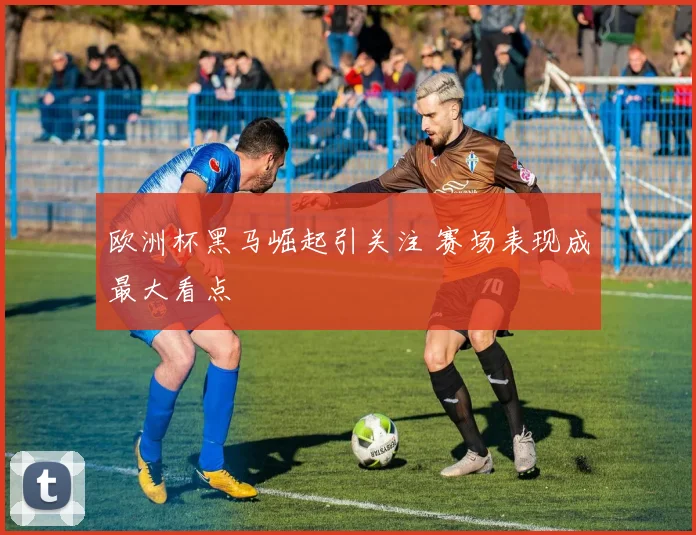 欧洲杯黑马崛起引关注 赛场表现成最大看点