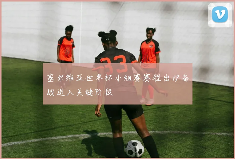 塞尔维亚世界杯小组赛赛程出炉备战进入关键阶段