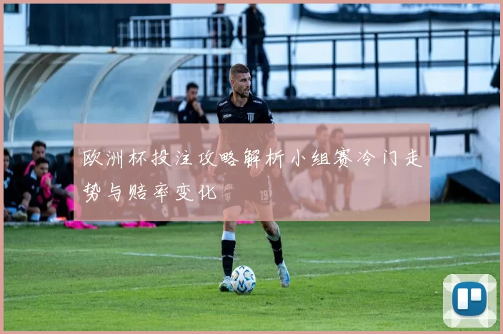 欧洲杯投注攻略解析小组赛冷门走势与赔率变化