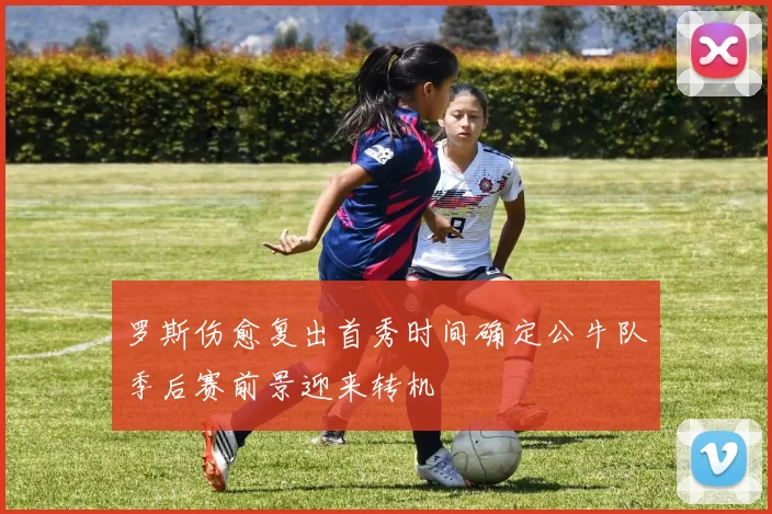 罗斯伤愈复出首秀时间确定公牛队季后赛前景迎来转机