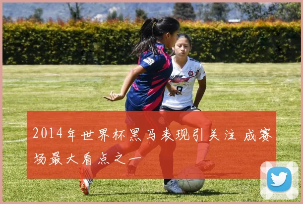 2014年世界杯黑马表现引关注 成赛场最大看点之一