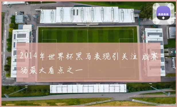 2014年世界杯黑马表现引关注 成赛场最大看点之一