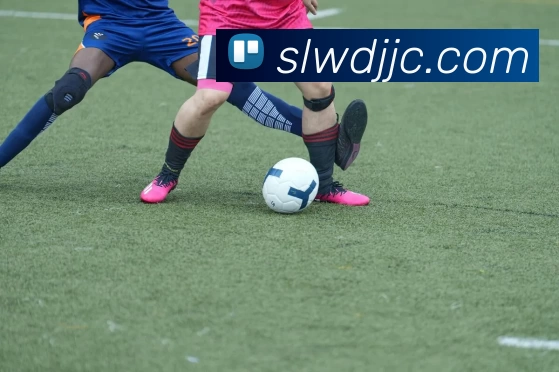 神彩争霸8官网(中国)股份有限公司官网服务体系