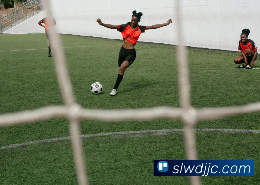 多媒体互动体验